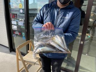 勝浦周辺（堤防）アジングにて