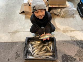 勝浦周辺（堤防）流行りののべサビキ