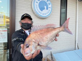 勝浦周辺（磯）松本名人マダイゲット‼️