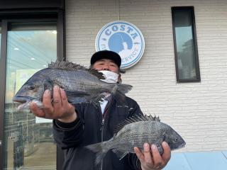 勝浦周辺（磯）クロダイ5枚