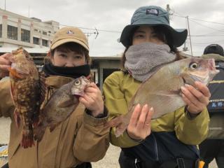 勝浦渡船（テトラポット）勝浦渡船にて