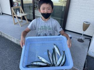 勝浦周辺（堤防）☀️夏休みの思い出☀️