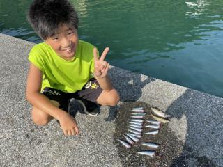 勝浦周辺（堤防）☀️夏休みの思い出☀️