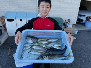 勝浦周辺（堤防）サビキ釣り好調です！