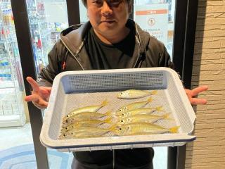 勝浦周辺（堤防）のべ竿でサビキ釣り！