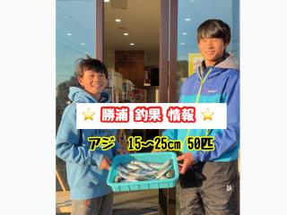 勝浦市（堤防）アジまたまた50匹オーバー