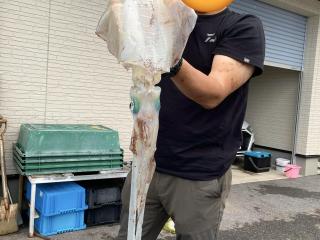 勝浦周辺（堤防）アオリイカ1.9kg