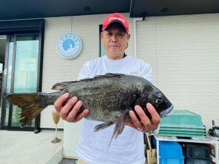 勝浦周辺（堤防）クロダイ50センチ❗️