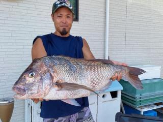 勝浦周辺（堤防）真鯛7.85kg