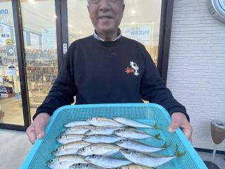 勝浦周辺（堤防）ノベ竿サビキ釣りで‼️