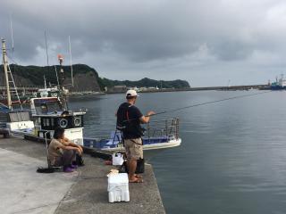 勝浦港（堤防）サバンナ