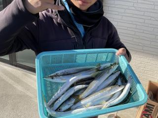 勝浦周辺（堤防）カマス入れ食い