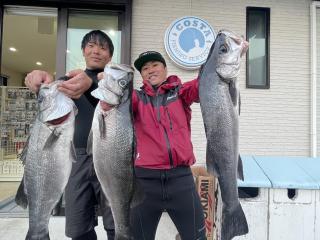 勝浦周辺（磯）ヒラスズキ午後の部