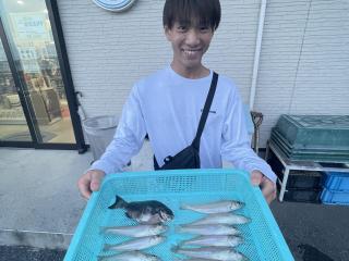 勝浦周辺（堤防）シロギス釣れました！