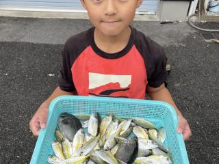 店頭でお聞きください。（テトラポット）初めてのサビキ釣り