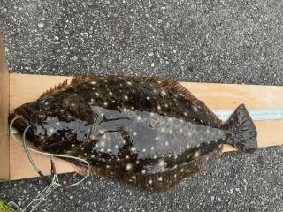店頭でお聞きください