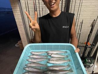 店頭でお聞きください！（堤防）今年はサイズが◎！シロギス好調です！