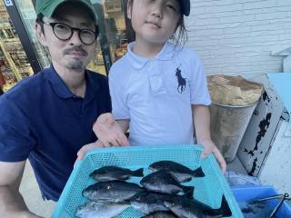 店頭でお聞きください（堤防）手ぶらでOK！レンタルサビキ釣りプランをご利用のお客様より