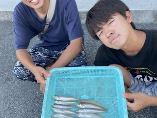 店頭でお聞きください（堤防）キス変わらず好調です！