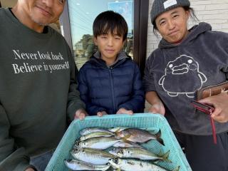 店頭でお聞きください（堤防）サビキ釣りアジ20cm