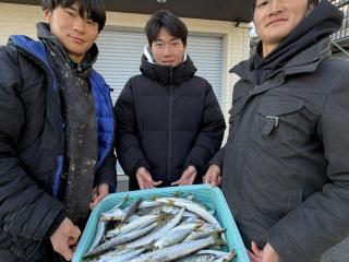 店頭でお聞きください（堤防）カマス51匹