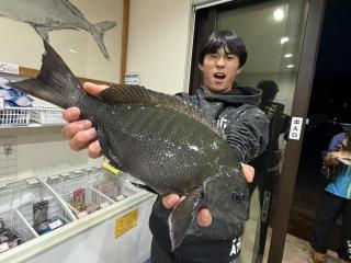 店頭でお聞きください（堤防）磯釣りシーズン開幕
