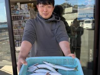 店頭でお聞きください（堤防）カマス 35〜40cm