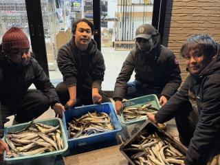 店頭でお聞きください（堤防）カマス　220匹