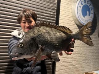 店頭でお聞きください（磯）フカセ釣り調査