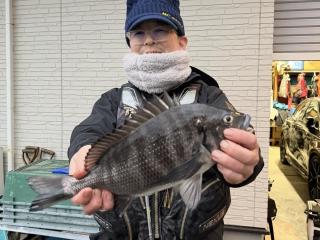 店頭でお聞きください（堤防）クロダイ40cm