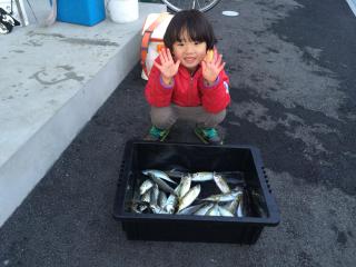 松部港（堤防）アジ釣り楽しすぎる－！！