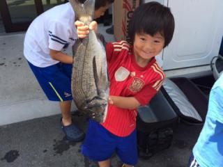 勝浦周辺（堤防）真夏のクロダイ