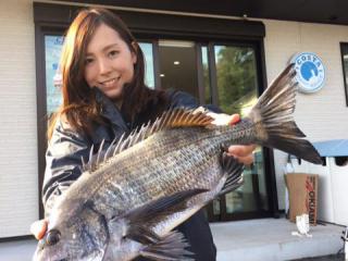 川津（堤防）またまたクロダイ！！