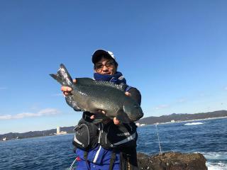 アシカ島（磯）爆釣！！グレが乱舞！！