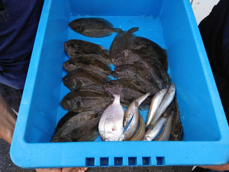 ガンゾウヒラメ キス メゴチ 他 釣果情報 外房勝浦の次世代型釣具店 Costa Fishing Service