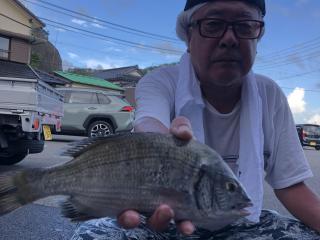 勝浦（堤防）秋チヌ開幕？