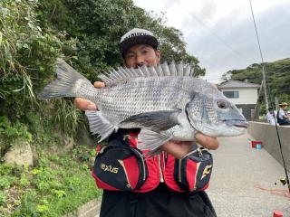 松部（堤防）クロダイ好調です！！