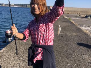 勝浦周辺（堤防）釣りガールのお客様キスGET