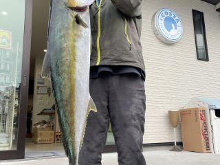 勝浦周辺（堤防）ヒラマサ12.5kg