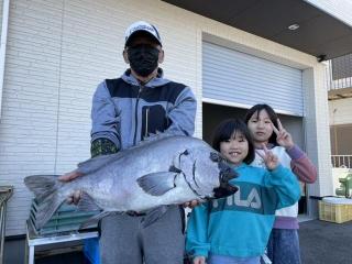 勝浦周辺（堤防）石鯛　64cm 5.12kg