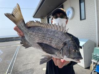 勝浦周辺（磯）クロダイ‼️