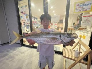勝浦周辺（堤防）ビックアジ‼️