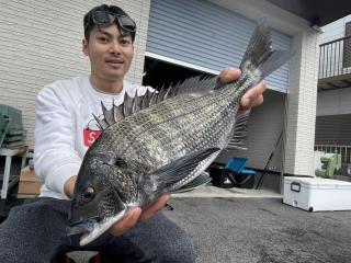 勝浦渡船（テトラポット）勝浦渡船にて