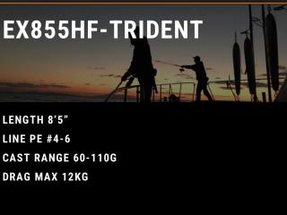 EXPLOSION 855HF-TRIDENT STANDARD MODEL