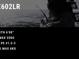 DUAL DDGE 602LR STANDARD MODEL