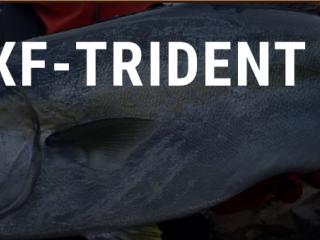 RAGING BULL 103XF-TRIDENT