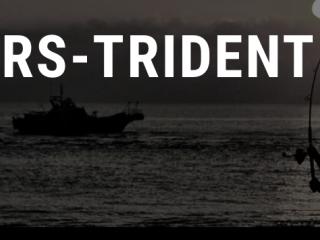 WILD BREAKER 110 RS-TRIDENT(ALL NEW MODEL)